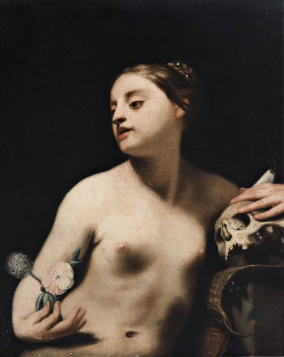 Allegory of Vanity and Penitence